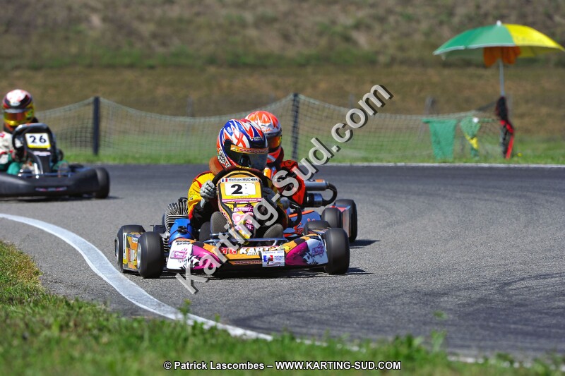 DSC_ (1546).jpg